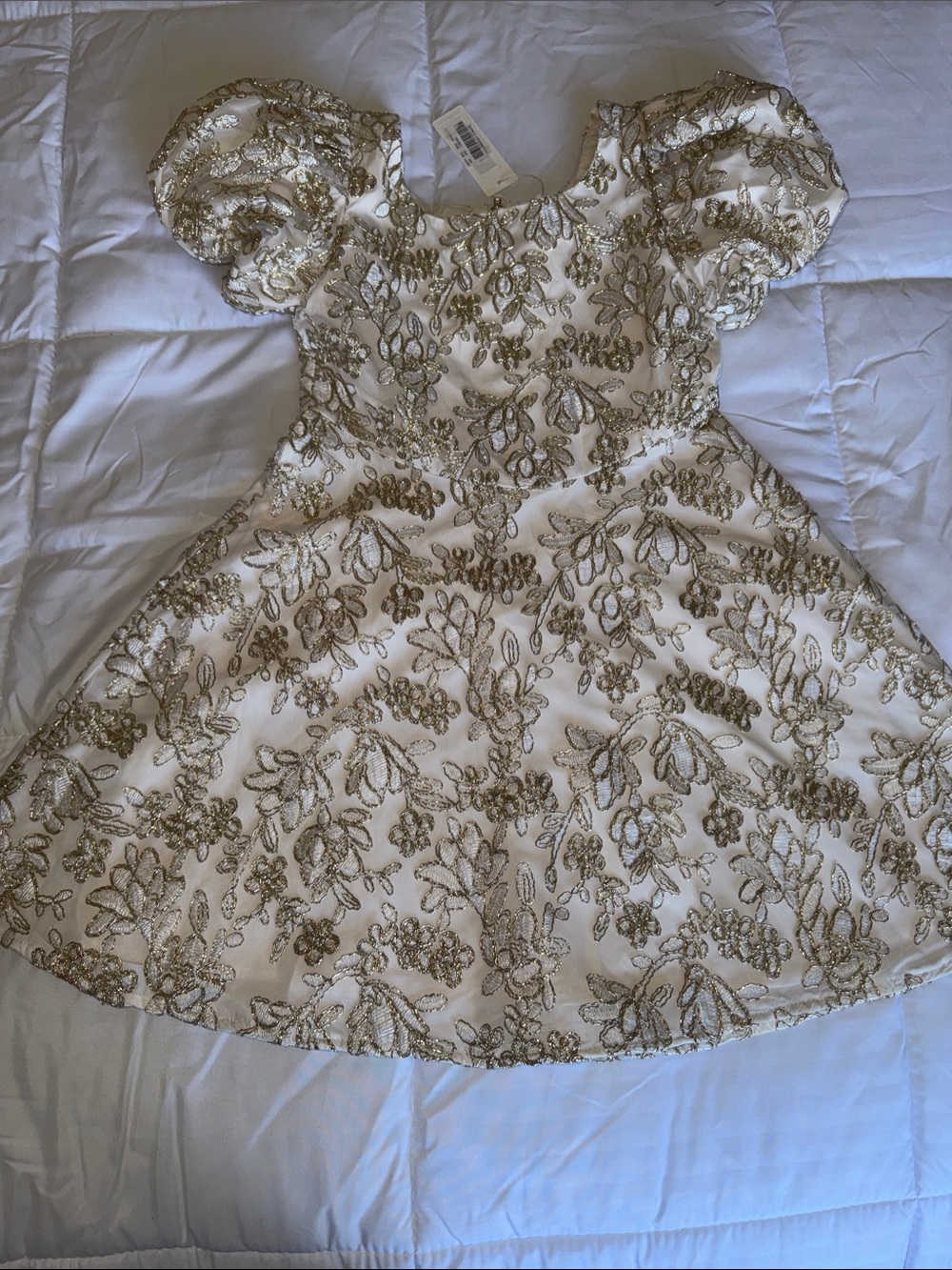 Gianni Bini Ivory Dress with Gold Embroidery